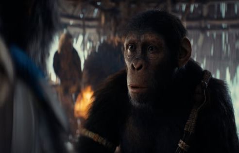 'Kingdom of the Planet of the Apes' Is Available Now on Digital