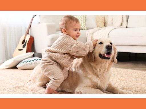 New mom’s Reddit post about resenting her pets is met with empathy from fellow moms