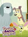 Pound Puppies – Der Pfotenclub