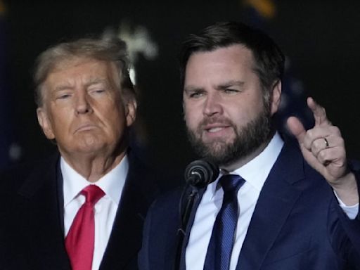 Trump's Running Mate JD Vance Said Childfree People Shouldn't Have As Much Voting Power As Parents — Here's Why That's...