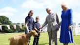 No kidding! King Charles III bestows royal title on rare golden goat breed