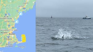 Recent shark sightings: Map shows great whites off coast of northern New England