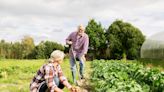 Copiez la technique de ce retraité français qui arrive à économiser 90 % d'eau tout en cultivant plein de légumes