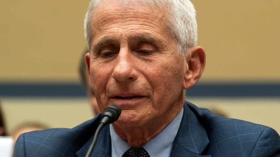 Fauci blames Trump admin staff for feeding him misinformation, animosity