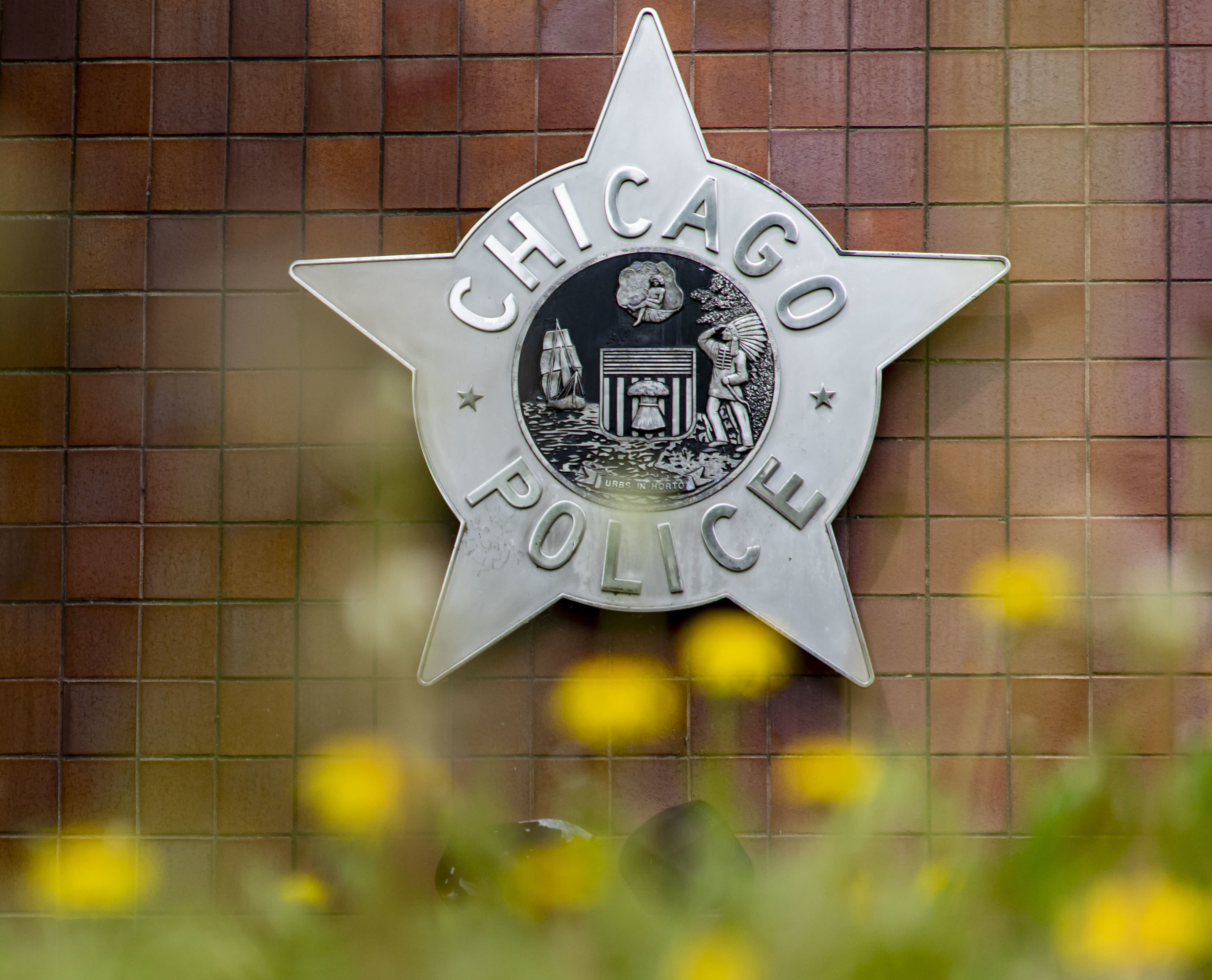 Off-duty Chicago police officer involved in Morgan Park shootout; suspect in custody, CPD says