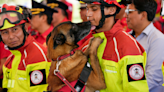 Heroic canines honored as 5 firefighter dogs retire, begin new lives with loving families