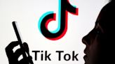 Interdiction de TikTok en Nouvelle-Calédonie : les dessous d'une mesure "sans précédent"