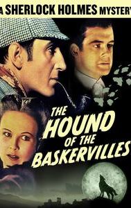 The Hound of the Baskervilles