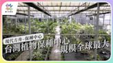規模最大植物保種中心在台灣，望成現代方舟。【獨立特派員】