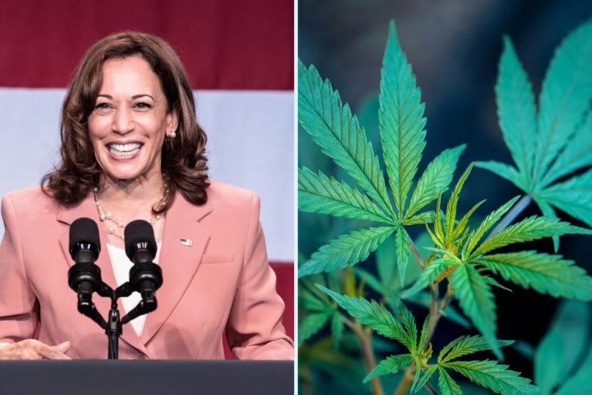 Kamala Harris Admits 'I Inhaled' Marijuana And Now Pushes For Legalization: What This Means For 2024 Elections