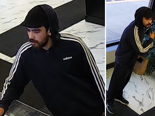 Robbery suspect sought by police in Ottawa's west-end