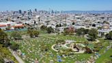 Summer Weather On Tap as the Bay Area Warms Up | KQED