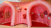 Giant inflatable colon meant to promote colorectal cancer awareness