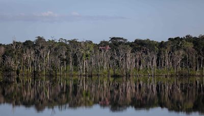 Vazamento de petróleo contamina rio e afeta populações na Amazônia