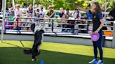 Buffalo Zoo introduces new canine stunt show