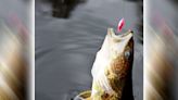 MN Daily Update: Numbers tell the story of fishing's importance to Minnesota - Outdoor News