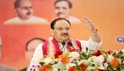 Nadda dubs Congress party as spokesperson of