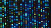 DNA project gives scientists diverse genome for comparison