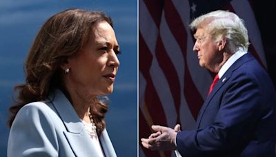 What Expert Who Predicted 9 US Polls Correctly Said On Trump vs Harris
