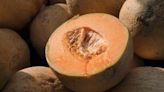 CDC: 2 dead, almost 100 sick from Salmonella in cantaloupes