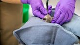 Humboldt penguin chick hatches at Lincoln Children’s Zoo