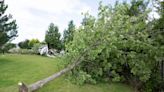 Three tornadoes likely hit Quebec Wednesday, uprooting trees, damaging infrastructure