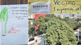 Vecinos realizarán “EugeFest” para celebrar al árbol centenario de la Del Valle | El Universal