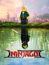 The Lego Ninjago Movie