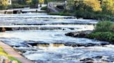 Inland Fisheries Ireland investigating deaths of 850 wild salmon in Co Sligo