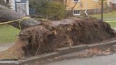 Town-by-town damage reports: Toppled trees, downed power lines as storm wreaks havoc on Mass.