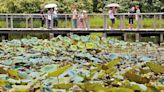 首個「全國生態日」陳國基︰研究北部都會區設濕地公園