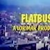 Flatbush (TV series)