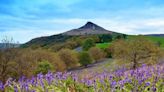 Gang with 'imitation' AK-47 rifle and Eritrean flag at Roseberry Topping summit given 'advice'