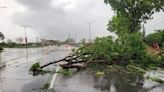 高雄清晨狂風暴雨「如颱風」 路牌被吹倒、路樹倒整排