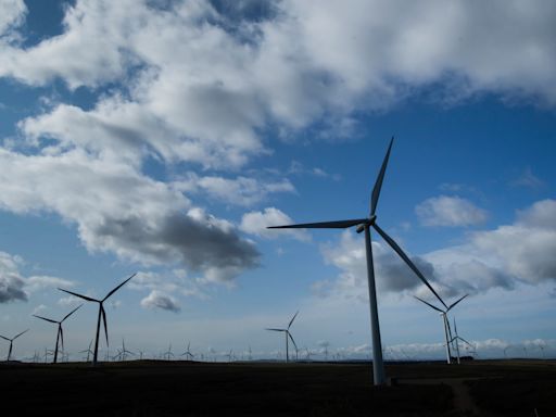 Government ditches onshore wind ban in move hailed by industry and campaigners