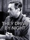 They Drive by Night (1938 film)