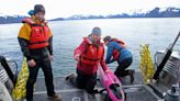 An ocean first: Underwater drone tracks CO2 in Alaska gulf