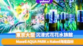 東京旅遊｜Maxell AQUA PARK x Naked打造花花數位藝術水族館！海豚與花共舞、海底森林沉浸式體驗區