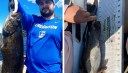 Fisherman Catches Trophy Smallmouth, Breaks Minnesota Catch-and-Release Record on Guided Trip