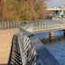 Boardwalk at Lady Bird Lake