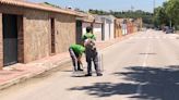 Los Barrios acomete los trabajos de desinsectación del alcantarillado público