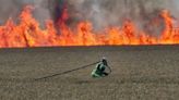 Firefighters tackle large blaze in corn field