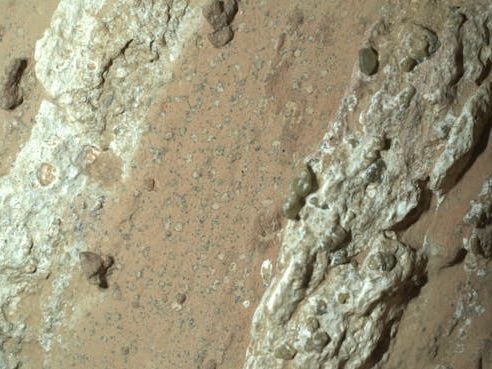 Has Nasa found evidence of ancient life of Mars? An expert examines the latest discovery
