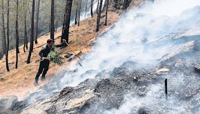 Forest fires vs shrubs: Archaic tools, no training exacerbate Uttarakhand crisis