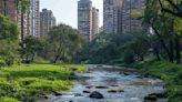 Mesmerizing Mumbai: Discover The Top 7 Scenic Rivers You Must Experience