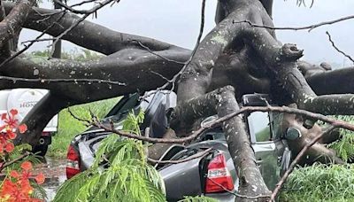 大雷雨炸不停！台南新市「超巨鳳凰木倒塌」 2車慘遭壓爛畫面曝光