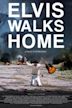 Elvis Walks Home