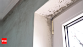 Mould Health Risks: Mould in your home? Major health risks it can pose | - Times of India