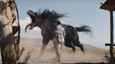Venom: The Last Dance Trailer's Breakout Star Is Venom Horse - IGN