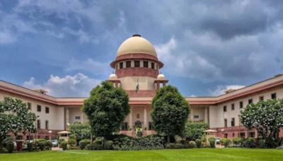 "Highly Objectionable": Supreme Court on High Court's Remark On Widow, Make-Up